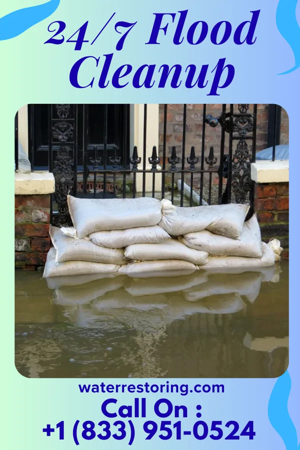 24/7 Flood Cleanup in Beechwood, MI