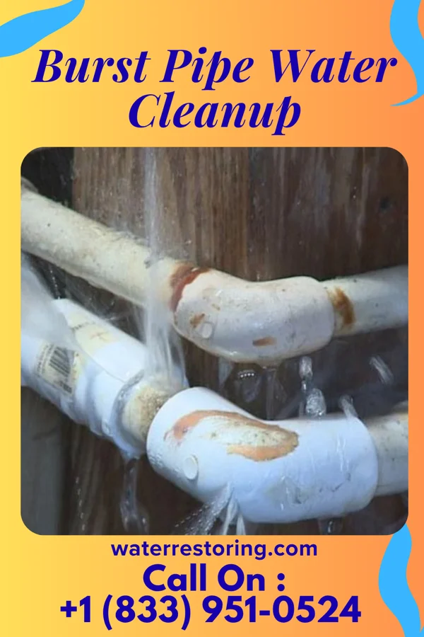 Burst Pipe Water Cleanup in Beechwood, MI