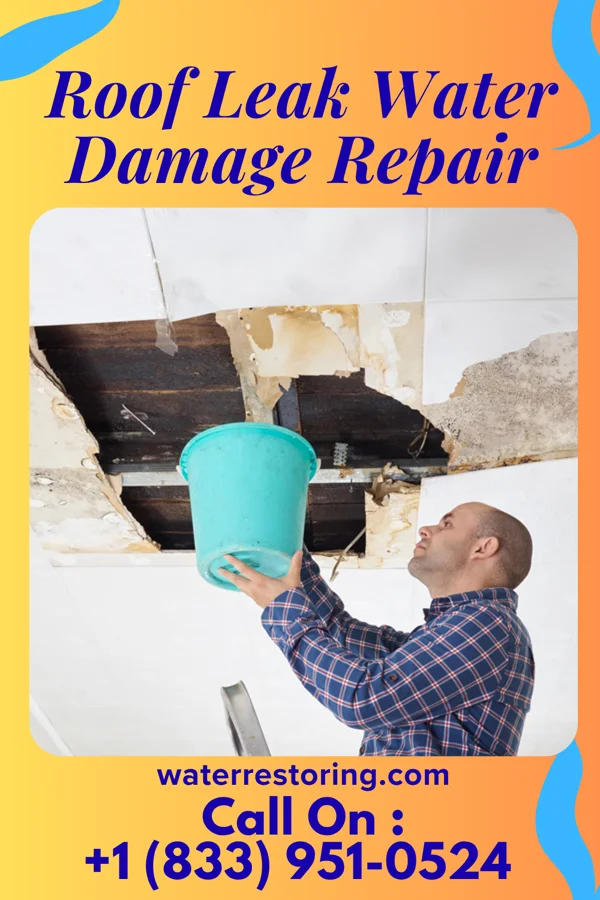 Roof Leak Water Damage Repair in Beechwood, MI