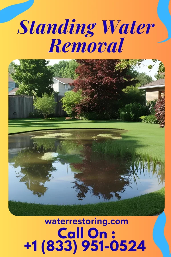 Standing Water Removal in Beechwood, MI